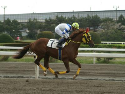 ファイル 222-1.jpg