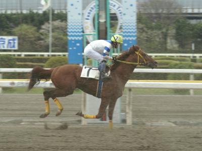 ファイル 222-2.jpg