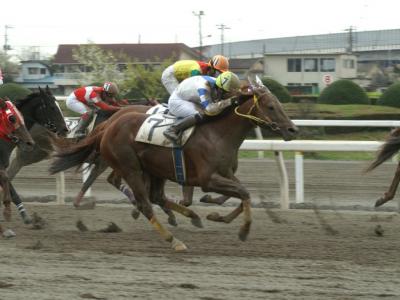 ファイル 222-3.jpg