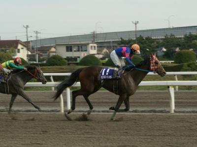 ファイル 222-4.jpg