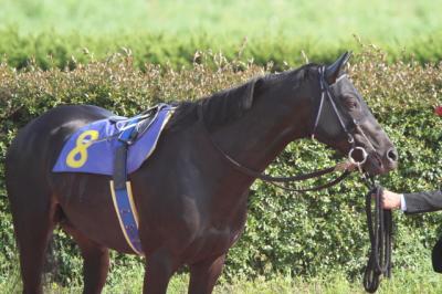 ファイル 224-4.jpg