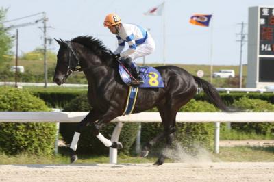 ファイル 224-5.jpg