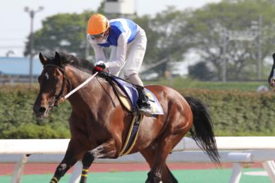 ファイル 225-2.jpg