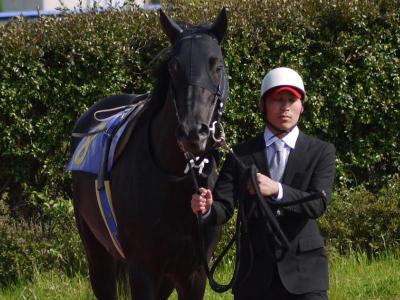 ファイル 226-1.jpg