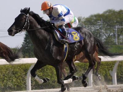 ファイル 226-3.jpg