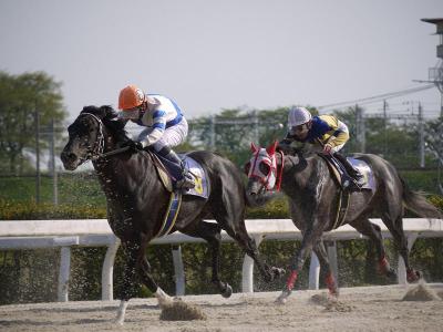 ファイル 226-4.jpg