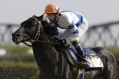 ファイル 227-4.jpg