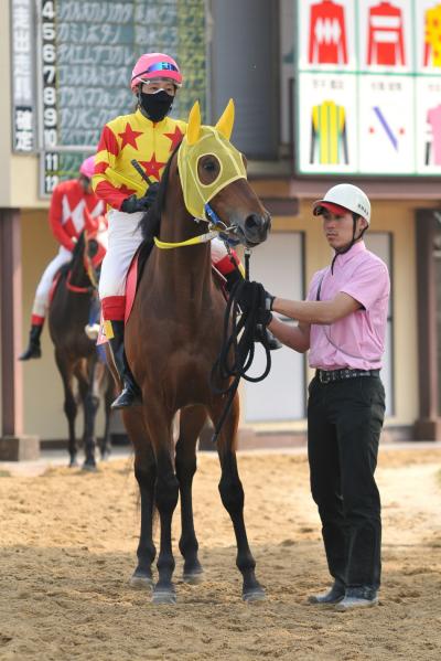 ファイル 228-2.jpg