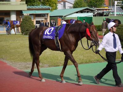 ファイル 229-2.jpg