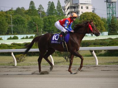 ファイル 230-1.jpg