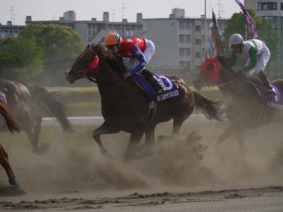 ファイル 230-3.jpg