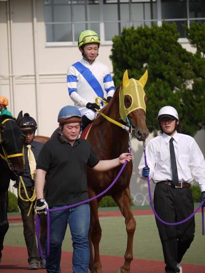 ファイル 231-3.jpg