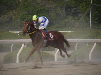 ファイル 231-4.jpg