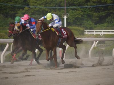 ファイル 231-5.jpg