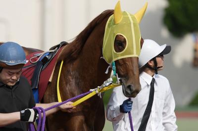 ファイル 232-2.jpg