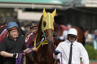 ファイル 232-3.jpg