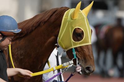 ファイル 232-4.jpg