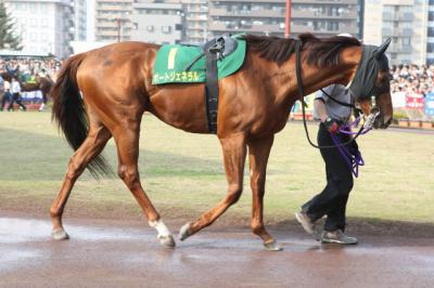 ファイル 233-1.jpg