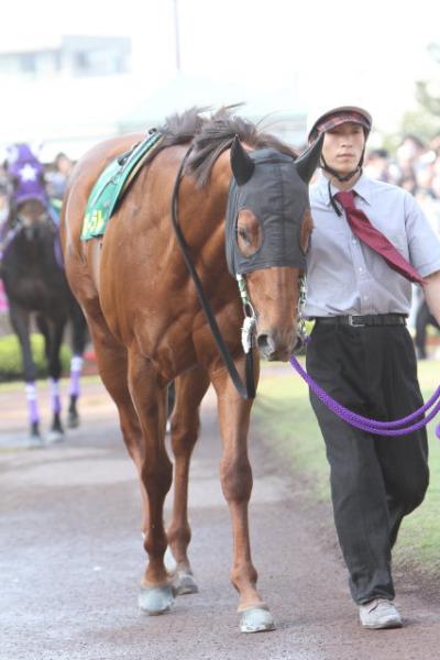 ファイル 233-2.jpg