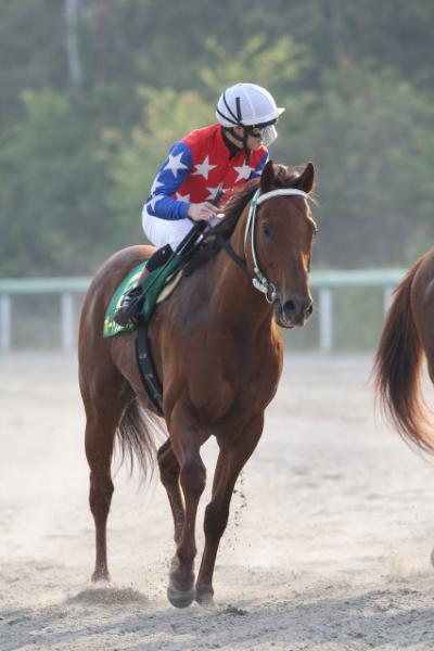 ファイル 234-2.jpg