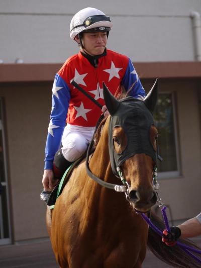 ファイル 236-2.jpg