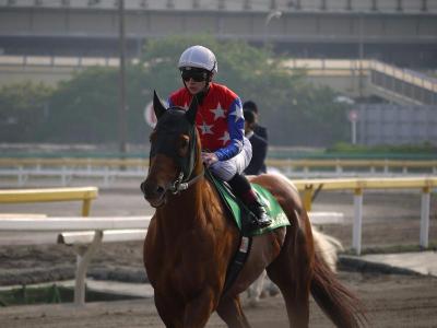 ファイル 236-3.jpg