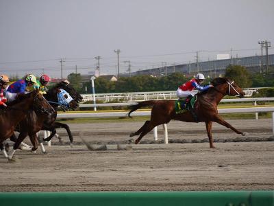 ファイル 236-4.jpg