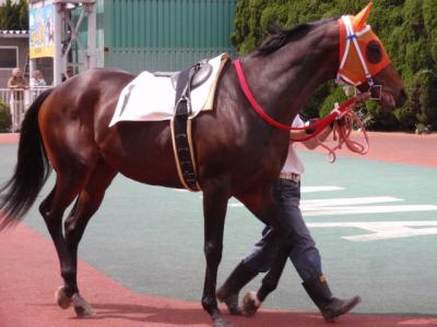 ファイル 238-2.jpg