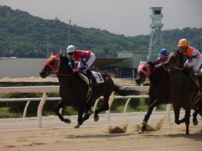 ファイル 239-3.jpg