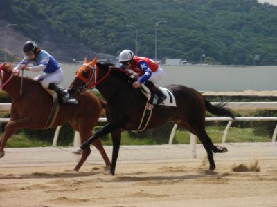 ファイル 239-4.jpg