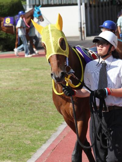 ファイル 240-1.jpg