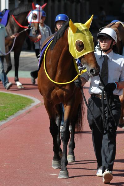 ファイル 241-1.jpg