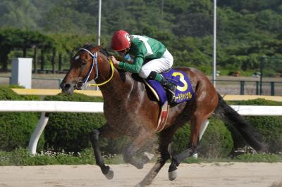 ファイル 241-4.jpg