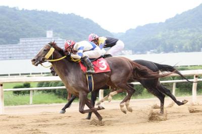 ファイル 243-3.jpg