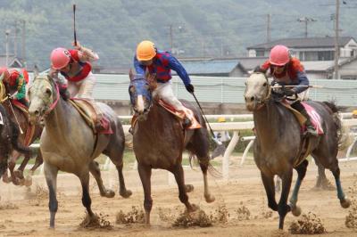 ファイル 244-5.jpg