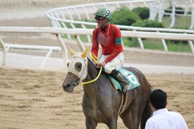 ファイル 245-5.jpg