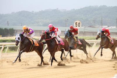 ファイル 246-2.jpg