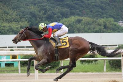 ファイル 248-3.jpg