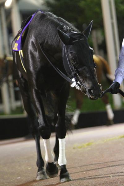 ファイル 250-2.jpg