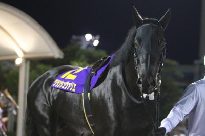 ファイル 250-3.jpg