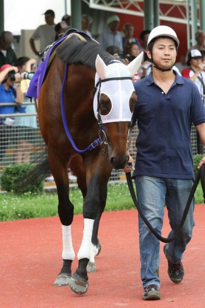 ファイル 251-3.jpg