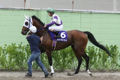 ファイル 252-1.jpg