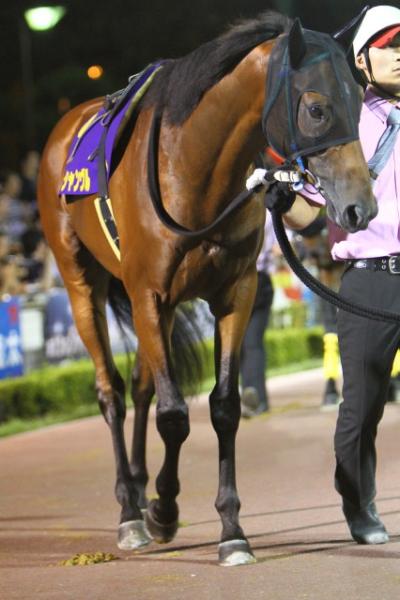 ファイル 253-3.jpg