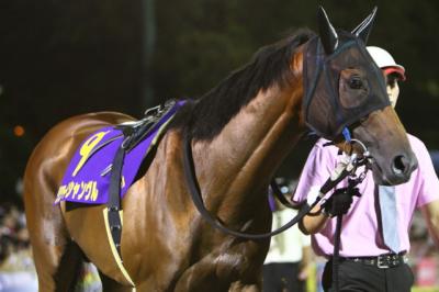 ファイル 253-5.jpg