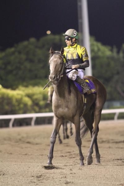 ファイル 254-2.jpg