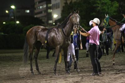 ファイル 254-3.jpg