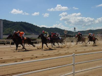 ファイル 257-3.jpg