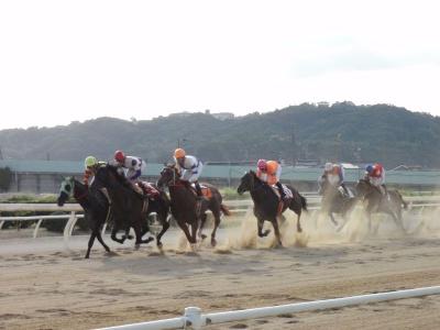 ファイル 258-2.jpg