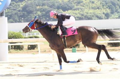 ファイル 261-4.jpg