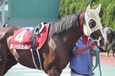 ファイル 262-1.jpg